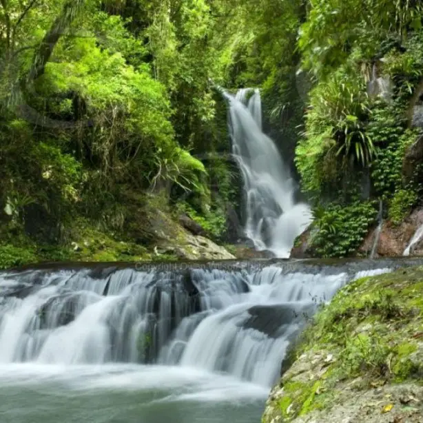 Lamington national park waterfall