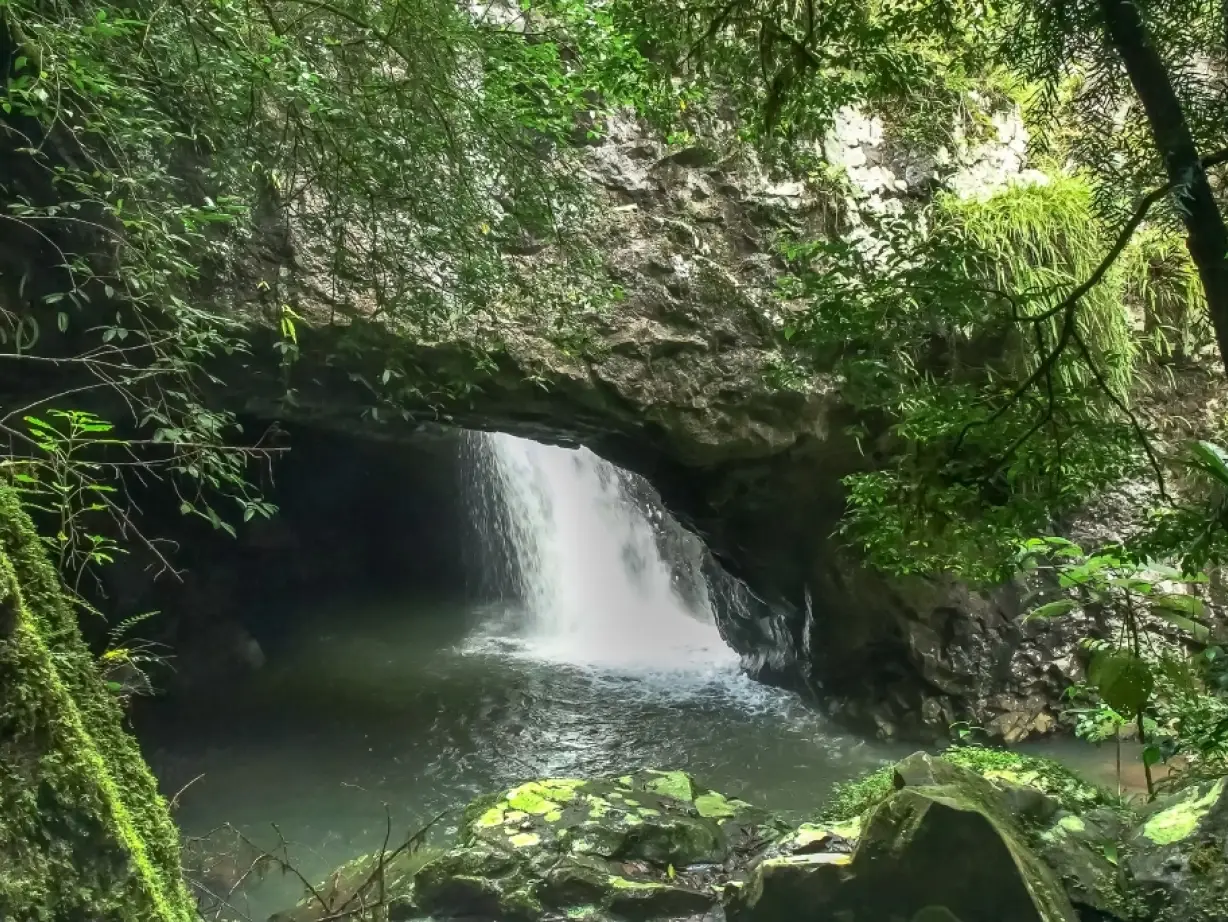 Natural Bridge Springbrook NP
