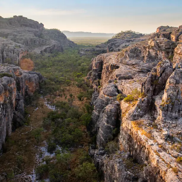 Eine grüne Schlucht, eingebettet zwischen felsigen Klippen im Kakadu National Park, Australien