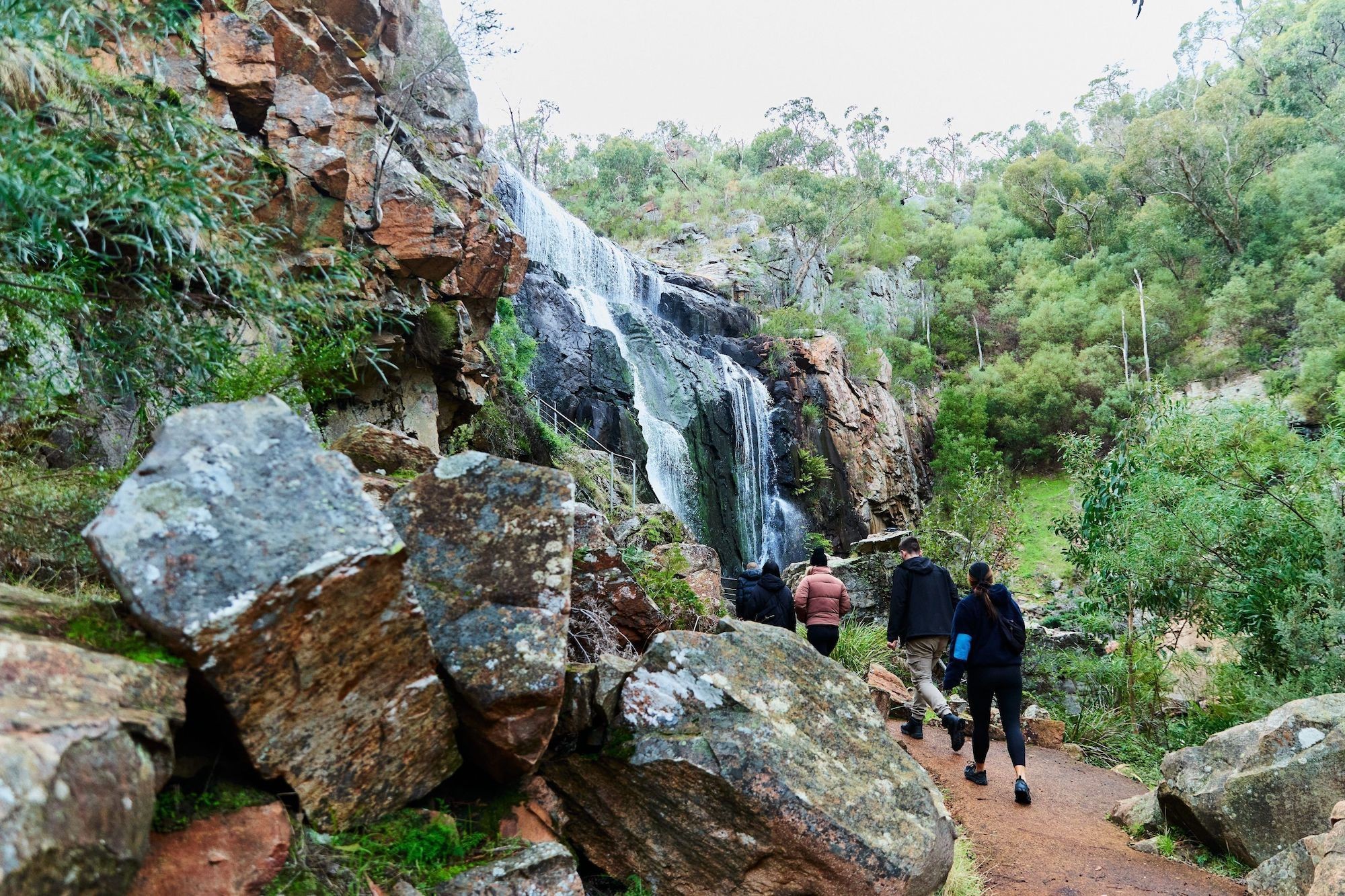 Australien Victoria Grampians Ambush