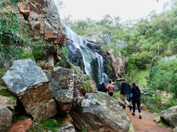 Australien Victoria Grampians Ambush