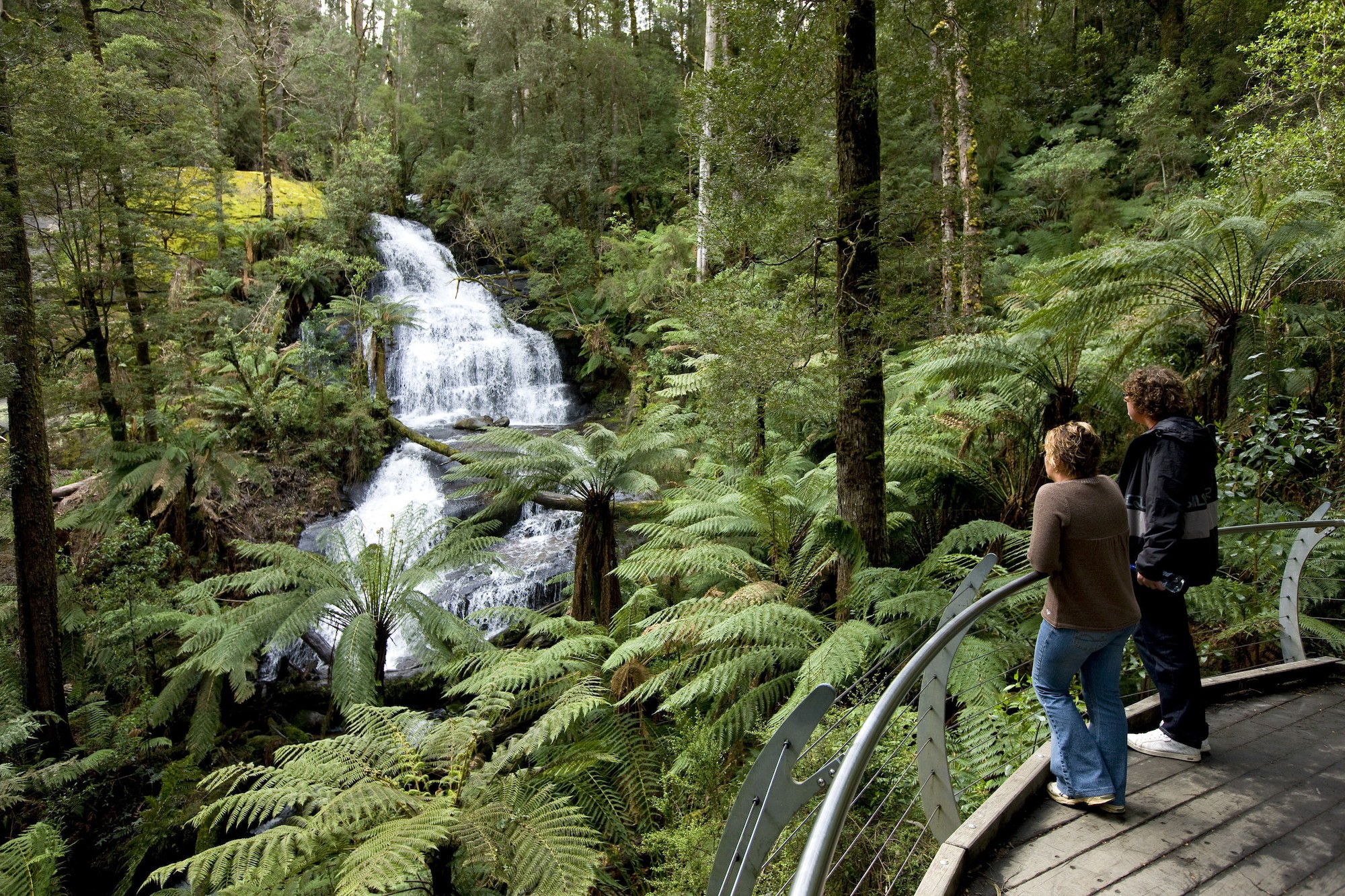 Australien Victoria Great Otway National Park Wasserfall