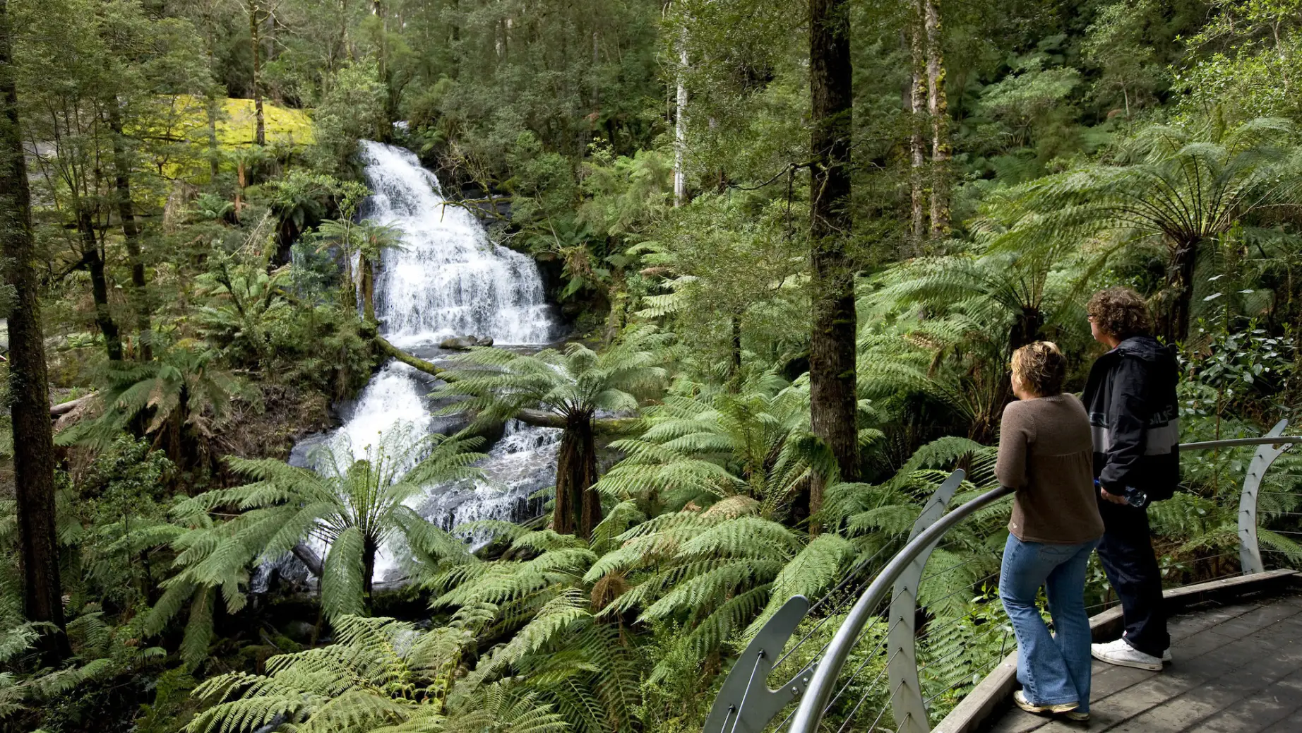 Australien Victoria Great Otway National Park Wasserfall