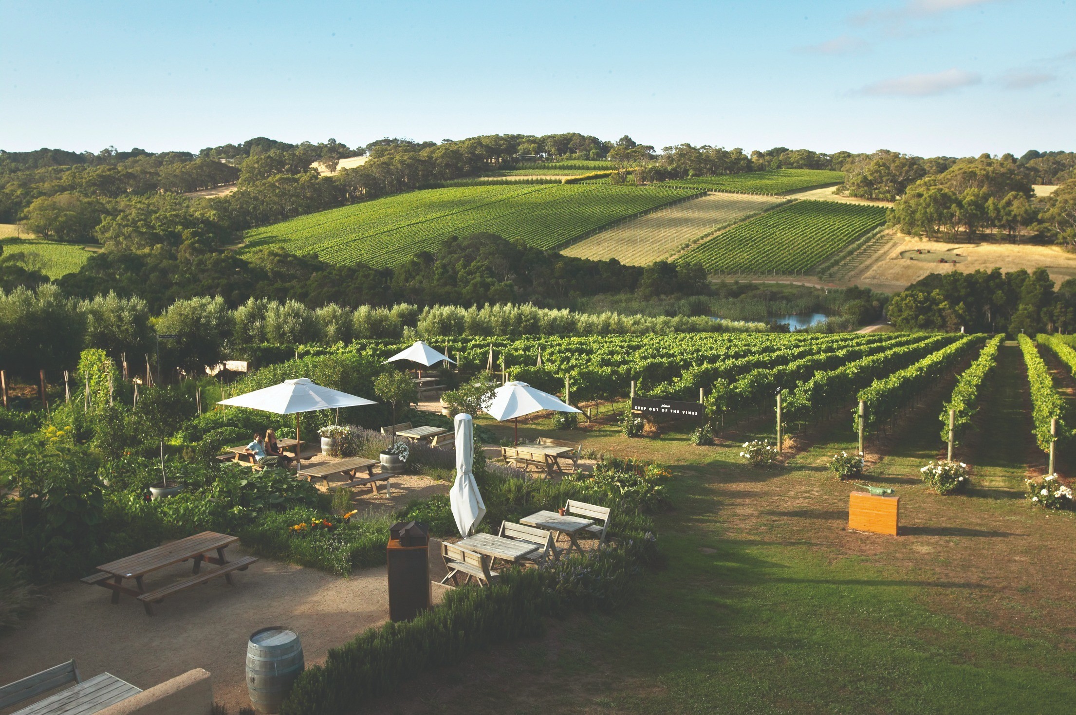 AUS Mornington Peninsula 1 1