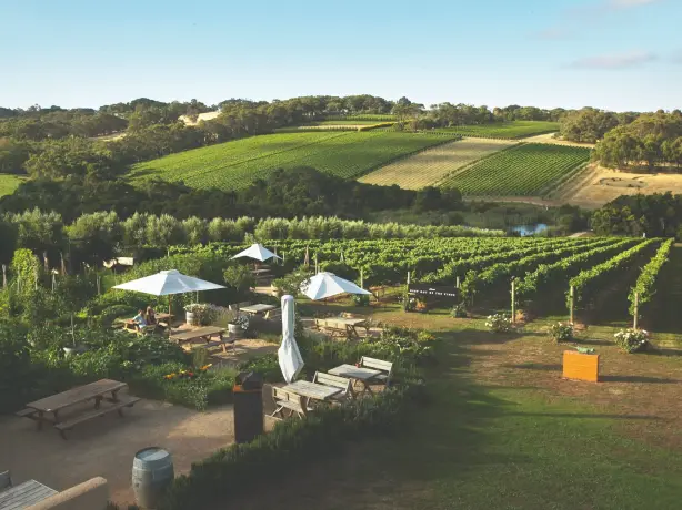 AUS Mornington Peninsula 1 1