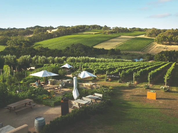 AUS Mornington Peninsula 1 1
