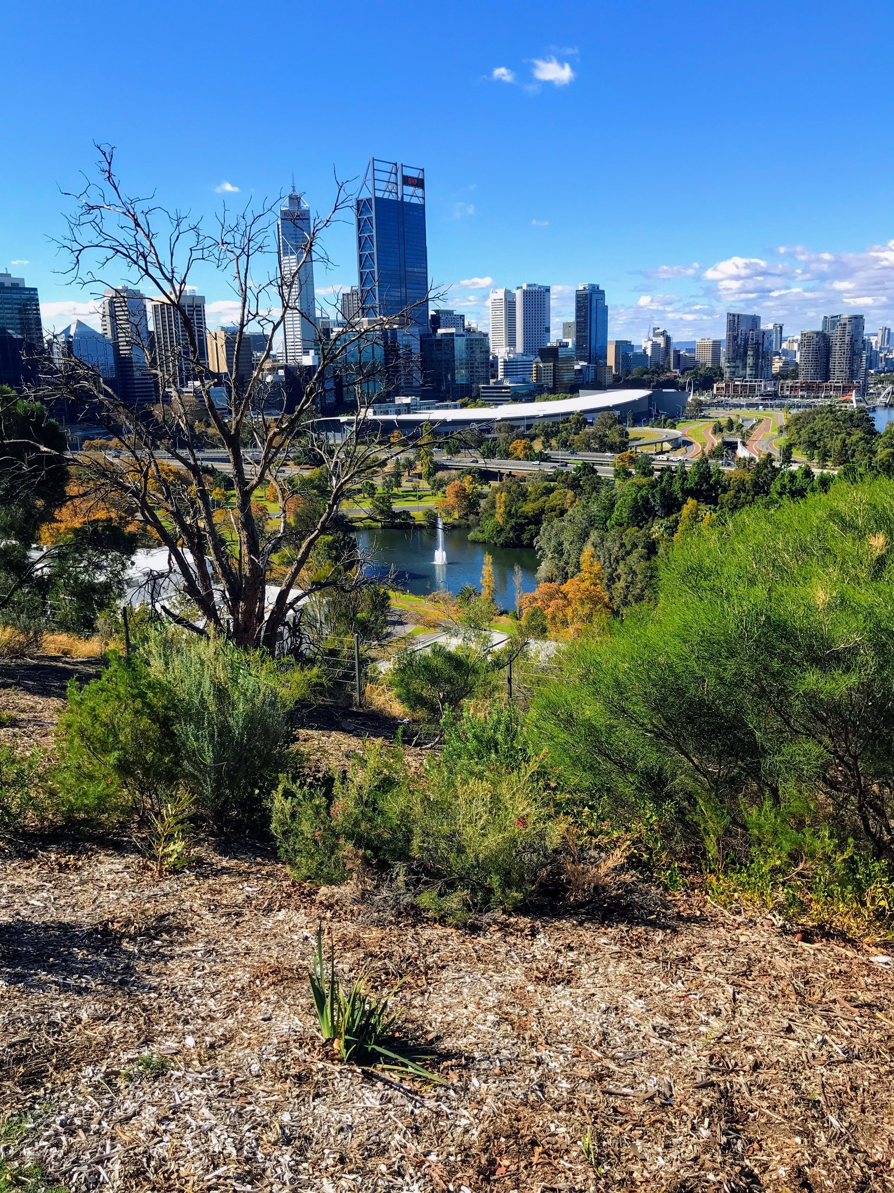 AUS WA Perth from Kings Park larry haubner unsplash