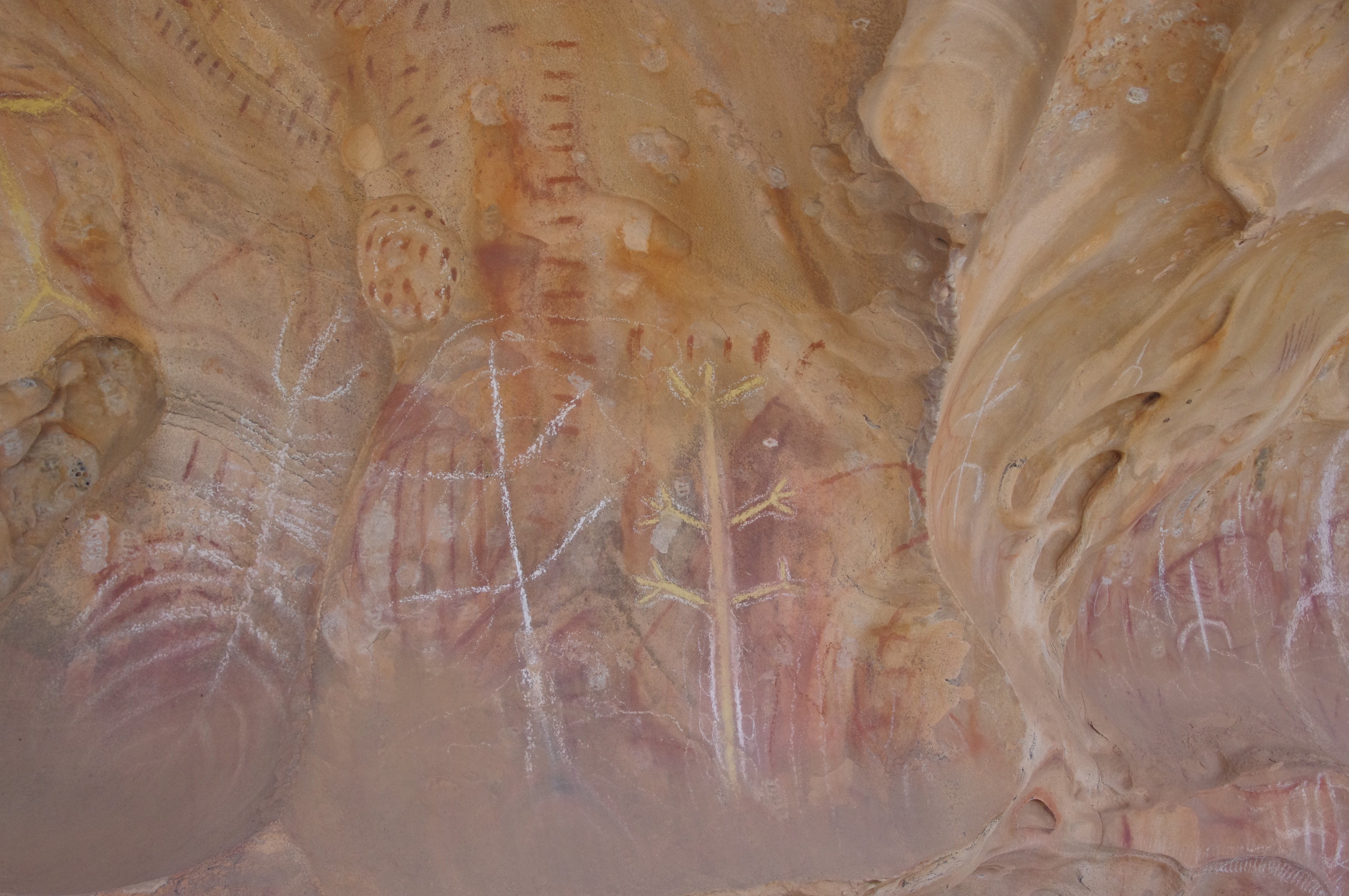 AUS SA Arkaroo Rock Flinders Range Zwijnenburg