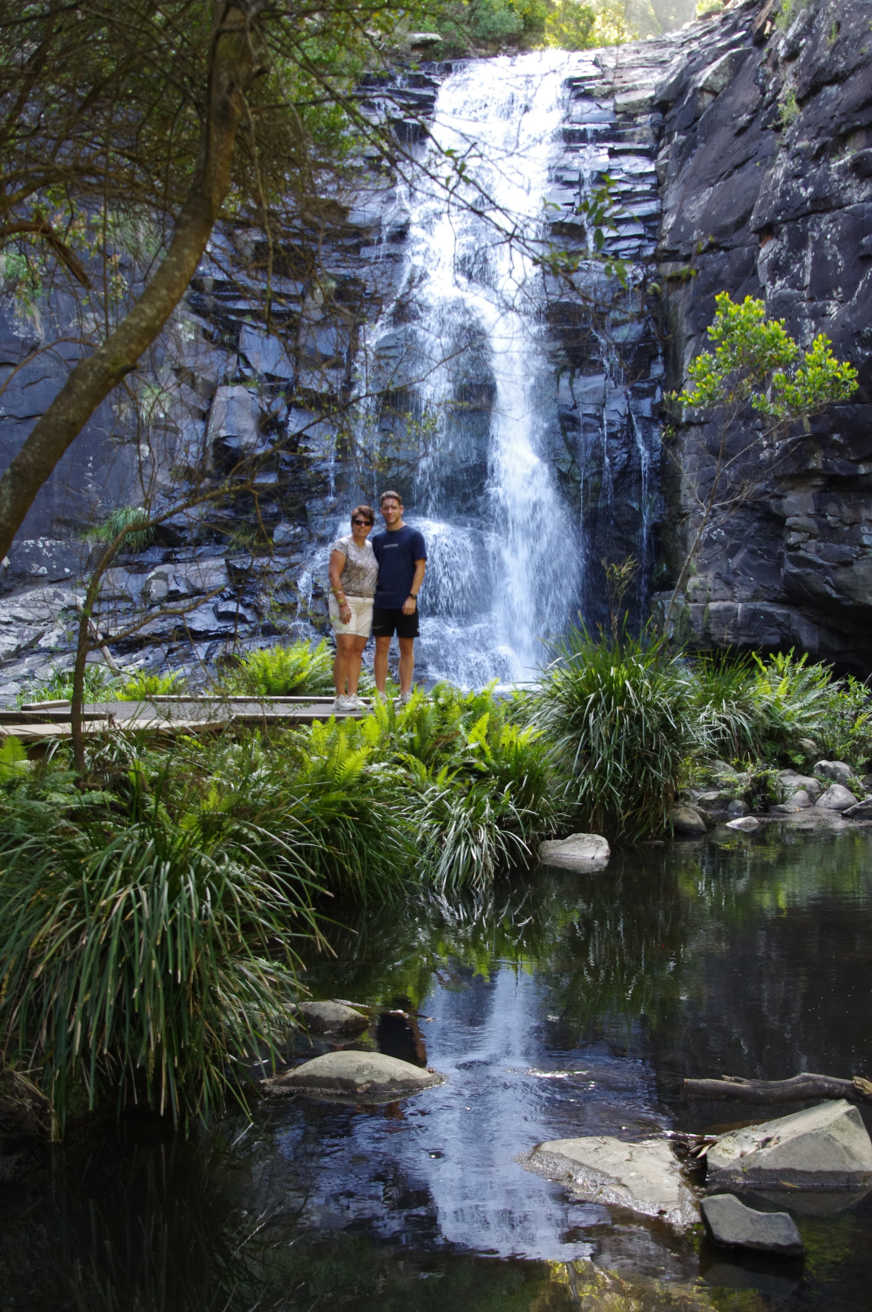 AUS VIC Great Ocean route Zwijnenburg