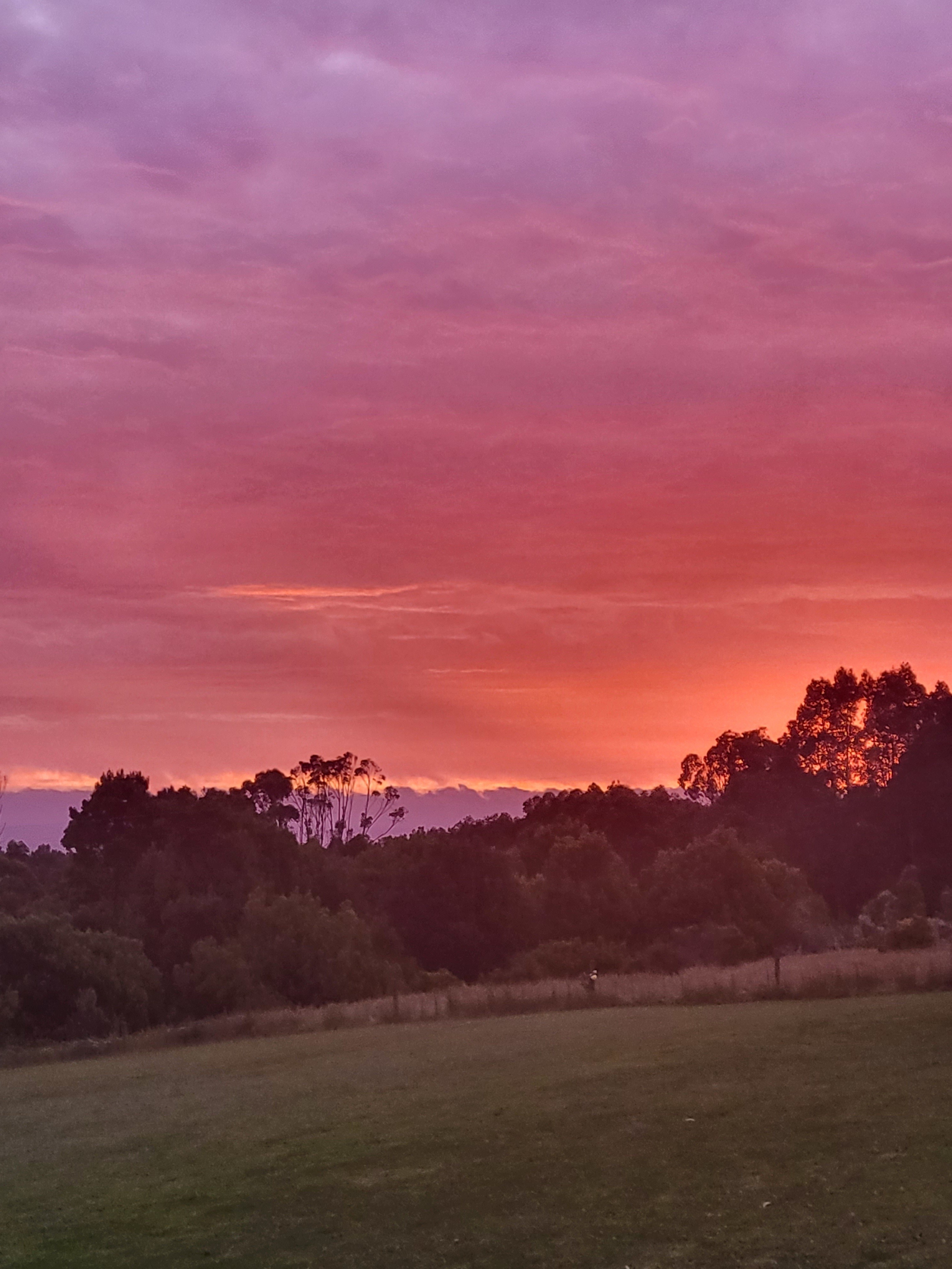 AUS VIC Sunset boomerang Johanna Zwijnenburg