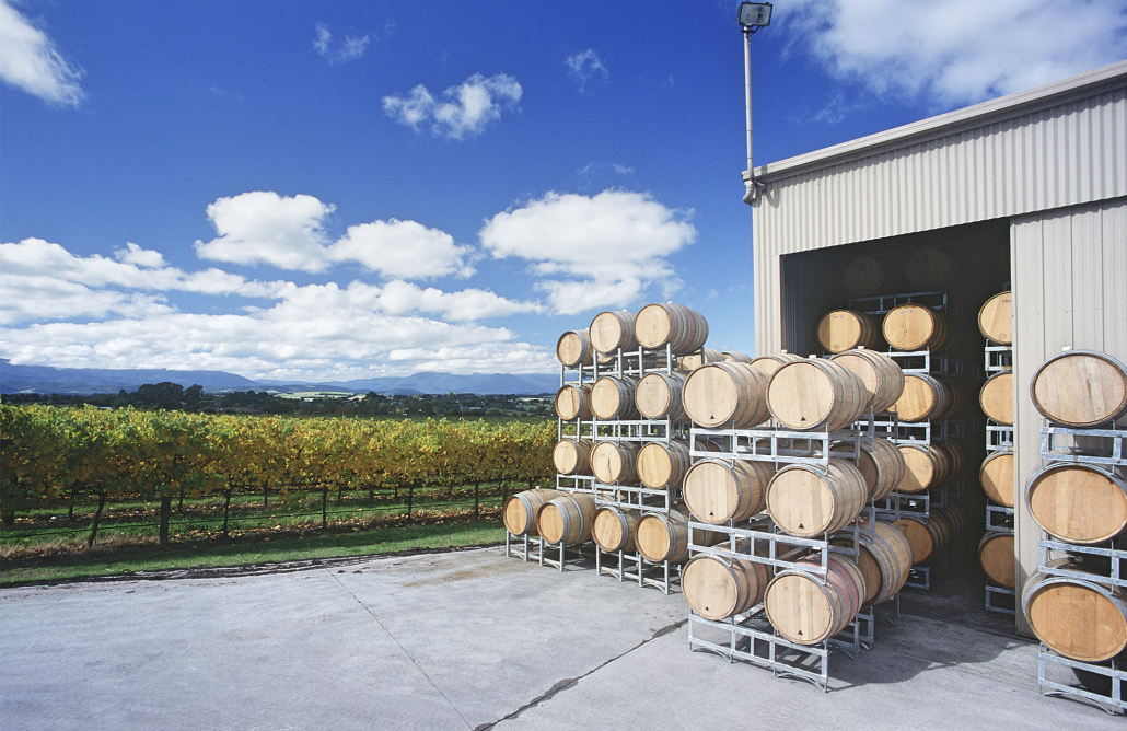 aus winery tour mornington peninsula