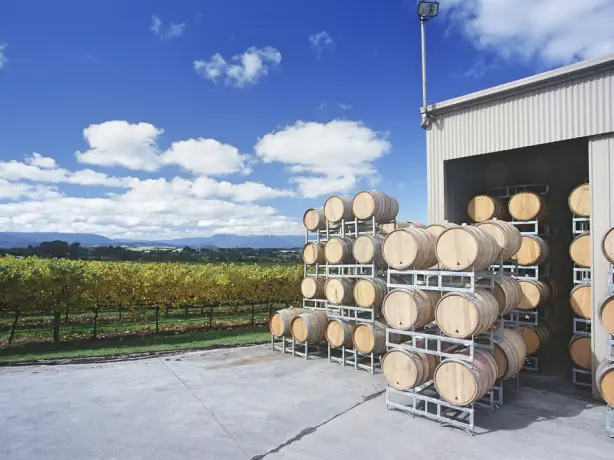 aus winery tour mornington peninsula