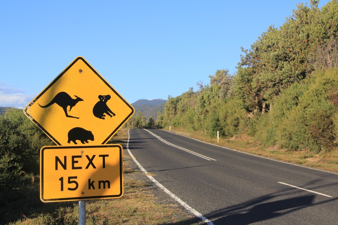 aus road sign car