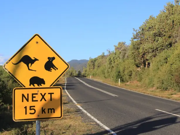 aus road sign car