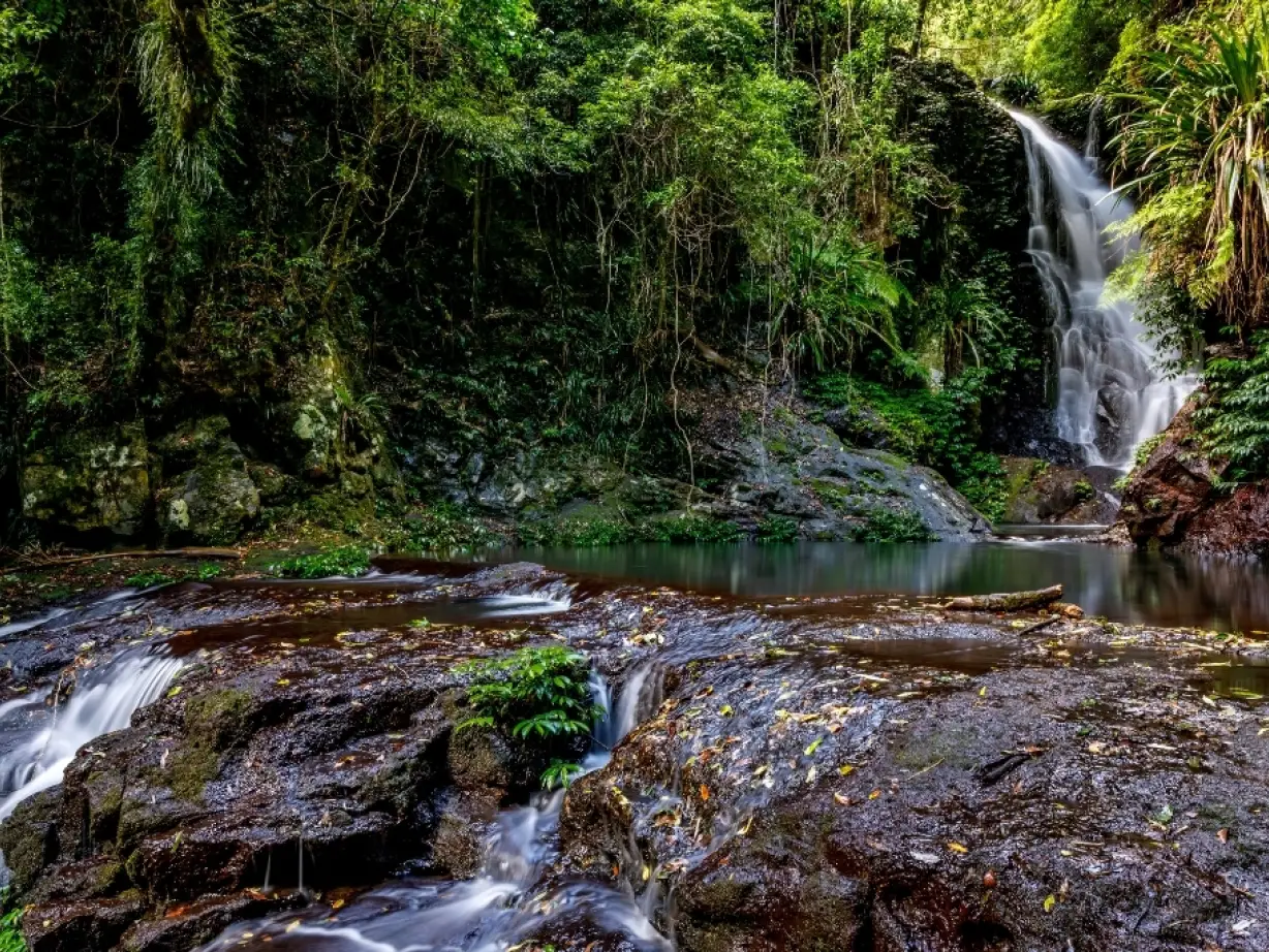Lamington National Park waterfall