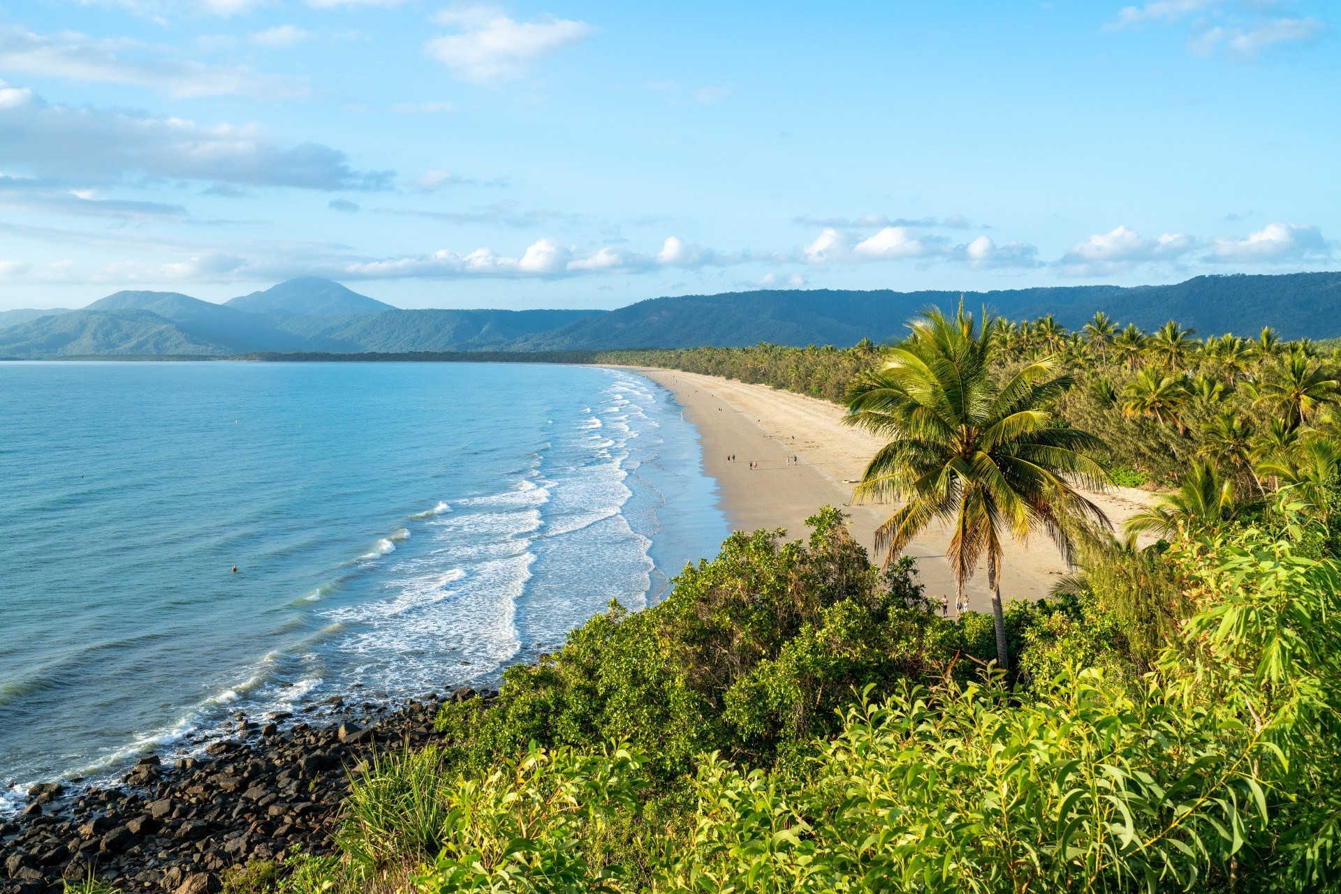 Australien Queensland Daintree Nationalpark  Port Douglas