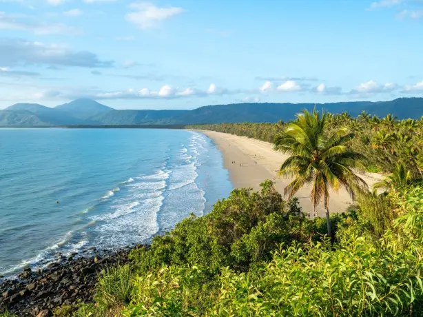 Australien Queensland Daintree Nationalpark Port Douglas