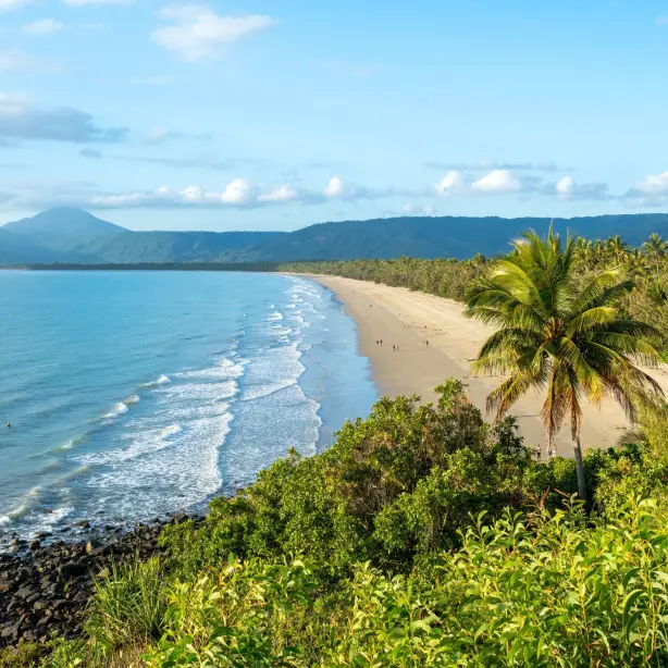 Blick auf einen Strand von Port Douglas umrahmt von Palmen