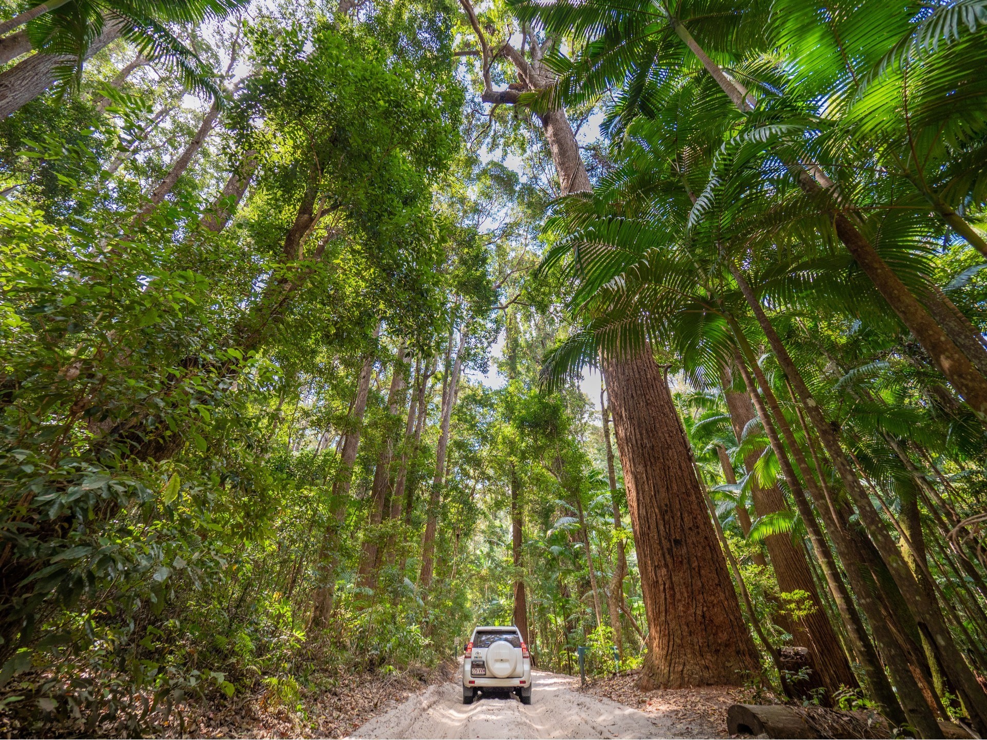 Aus qld fraser island Pile Valley 4wd