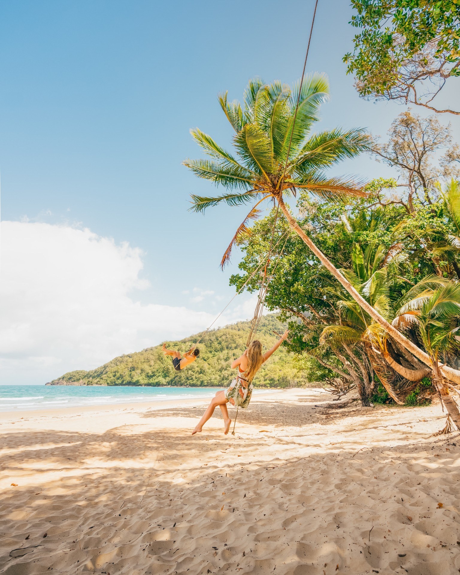 aus qld daintree cape tribulation