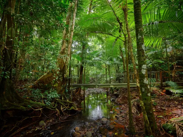 aus qld daintree discovery centre
