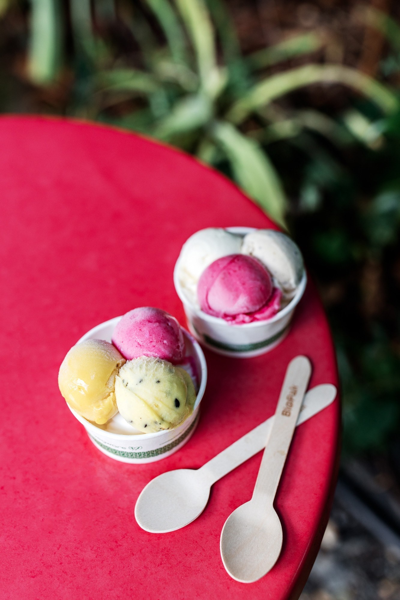 Aus queensland daintree ice cream company