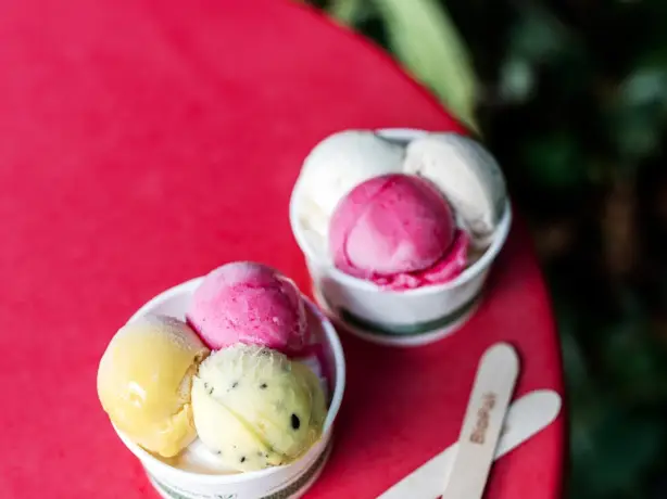 Aus queensland daintree ice cream company