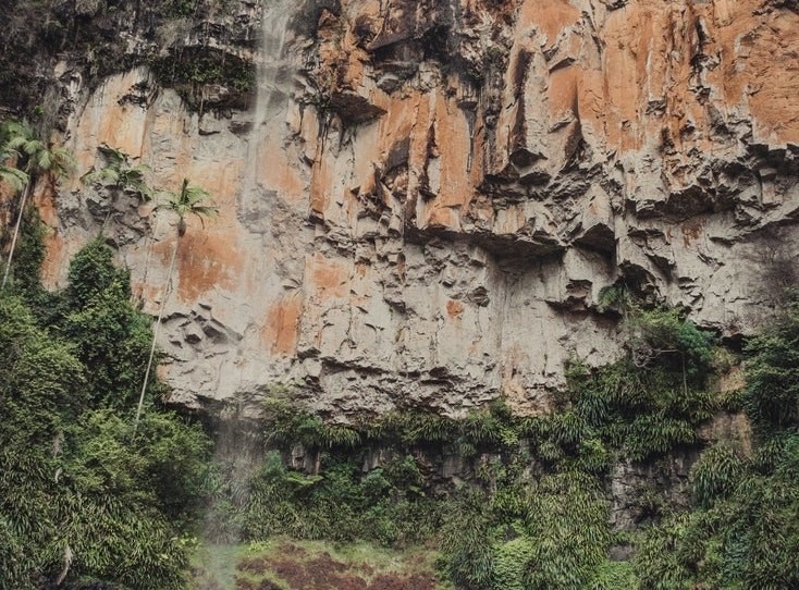 Australien Queensland Springbrook Nationalpark