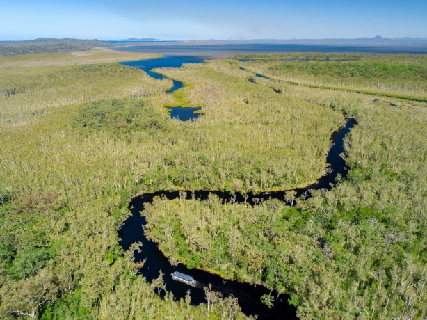 Aus qld Noosa Everglades credit Tourism and Events Queensland