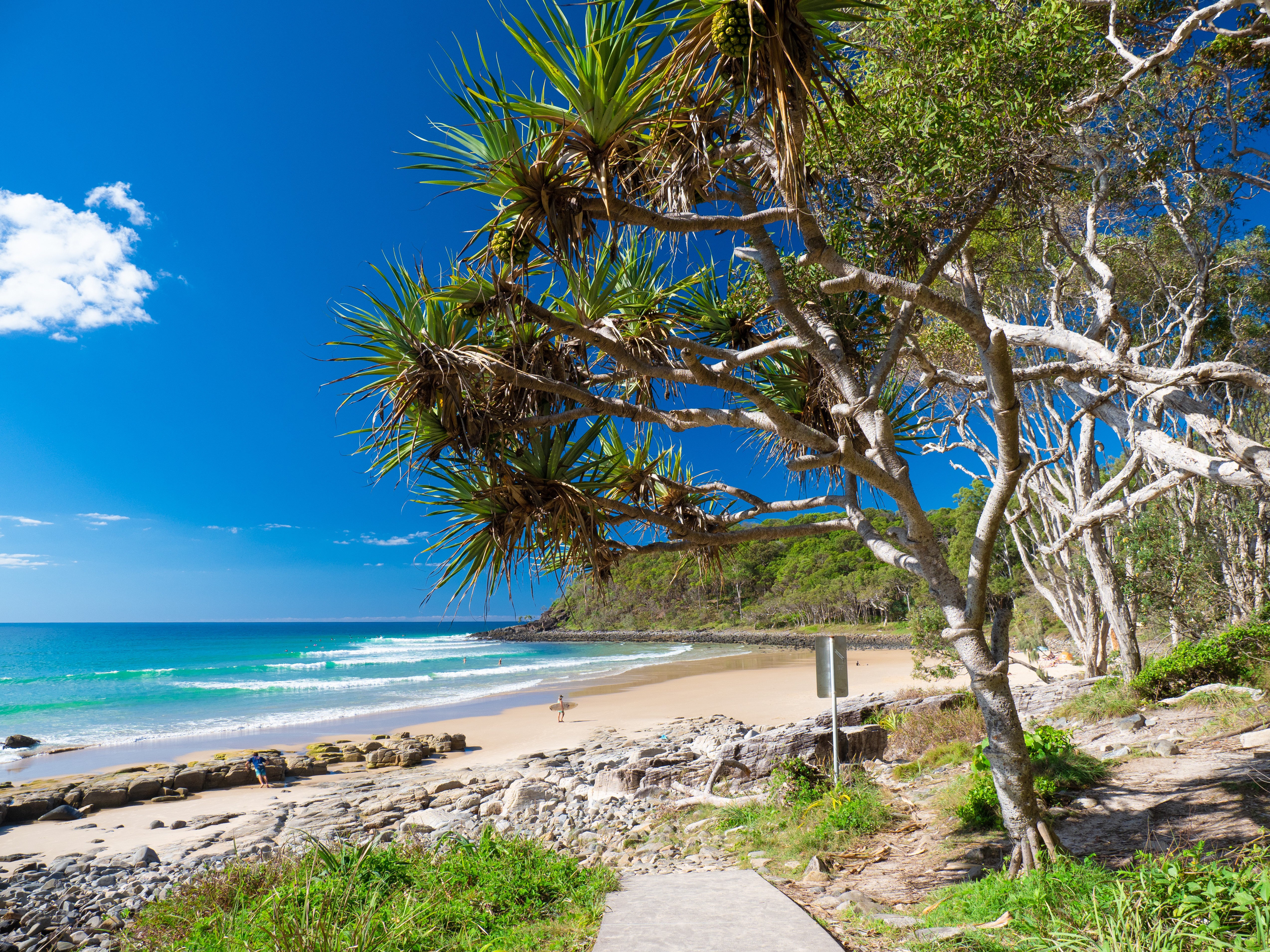 Australien Queensland Noosa Tea Tree Bay Noosa National Park