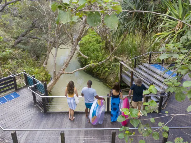 Aus qld fraser island Eli Creek view