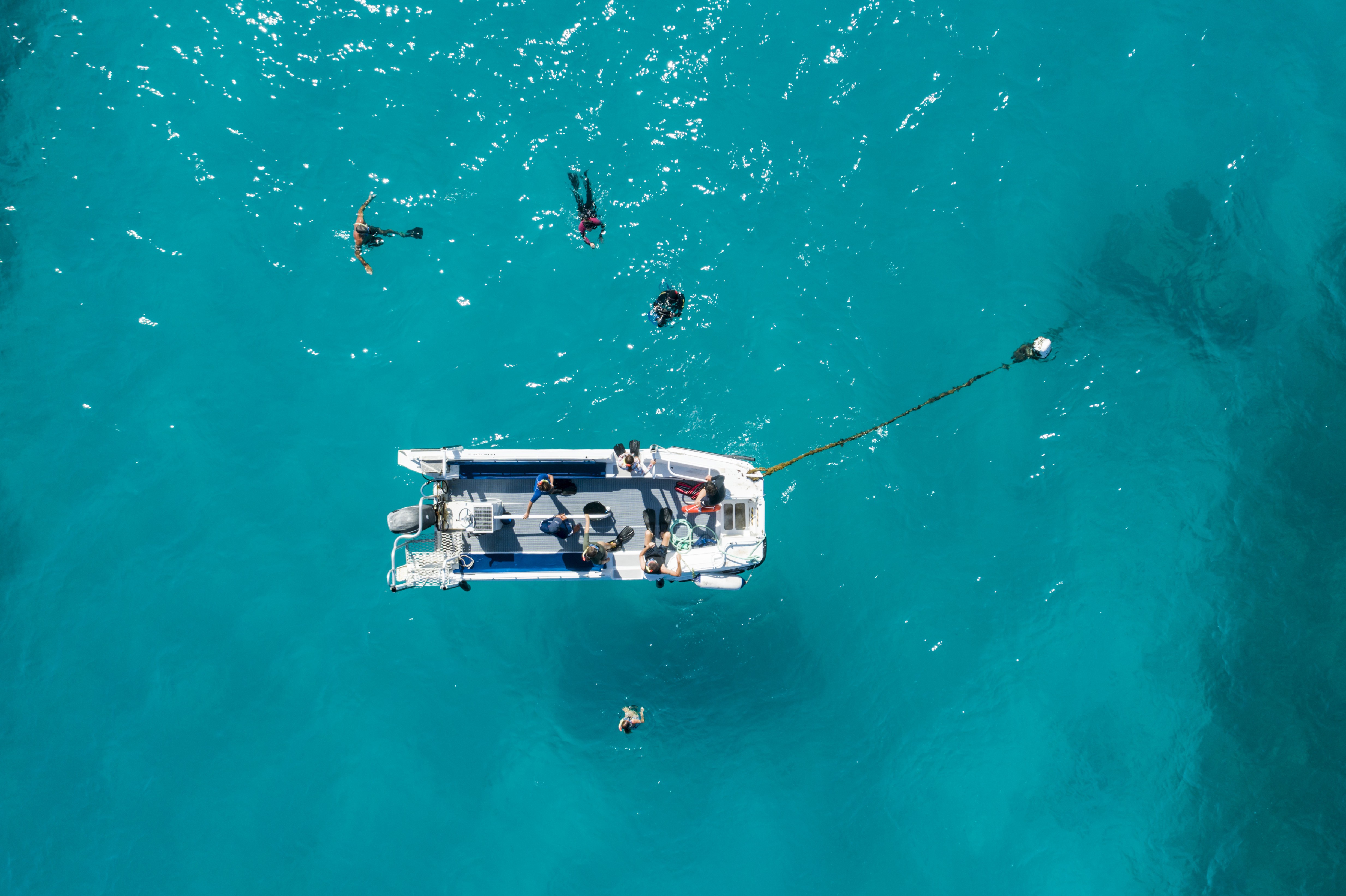 Aus qld great barrier reef Ocean Freedom
