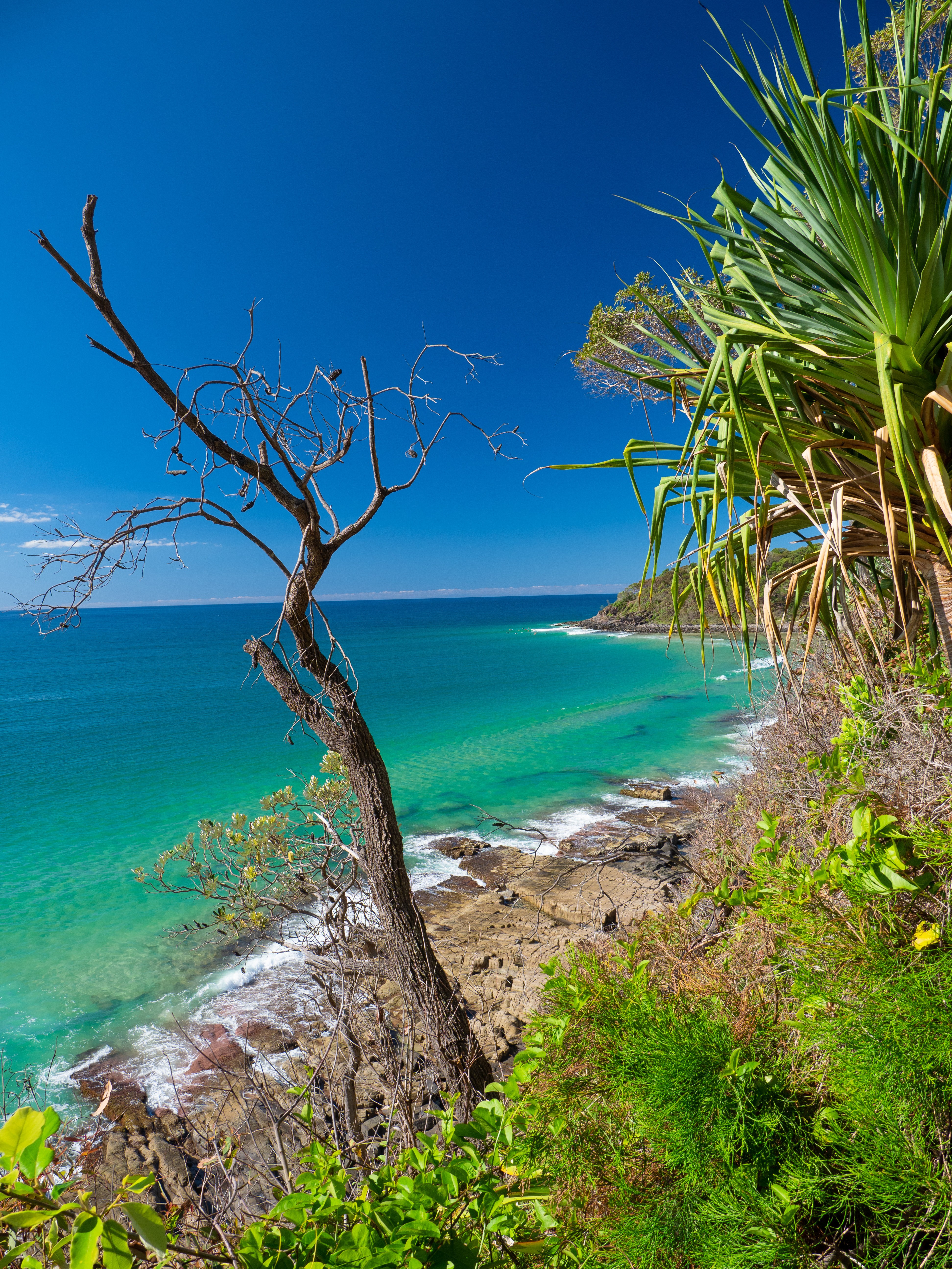 Aus qld noosa beach