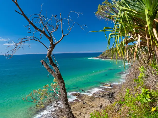 Aus qld noosa beach