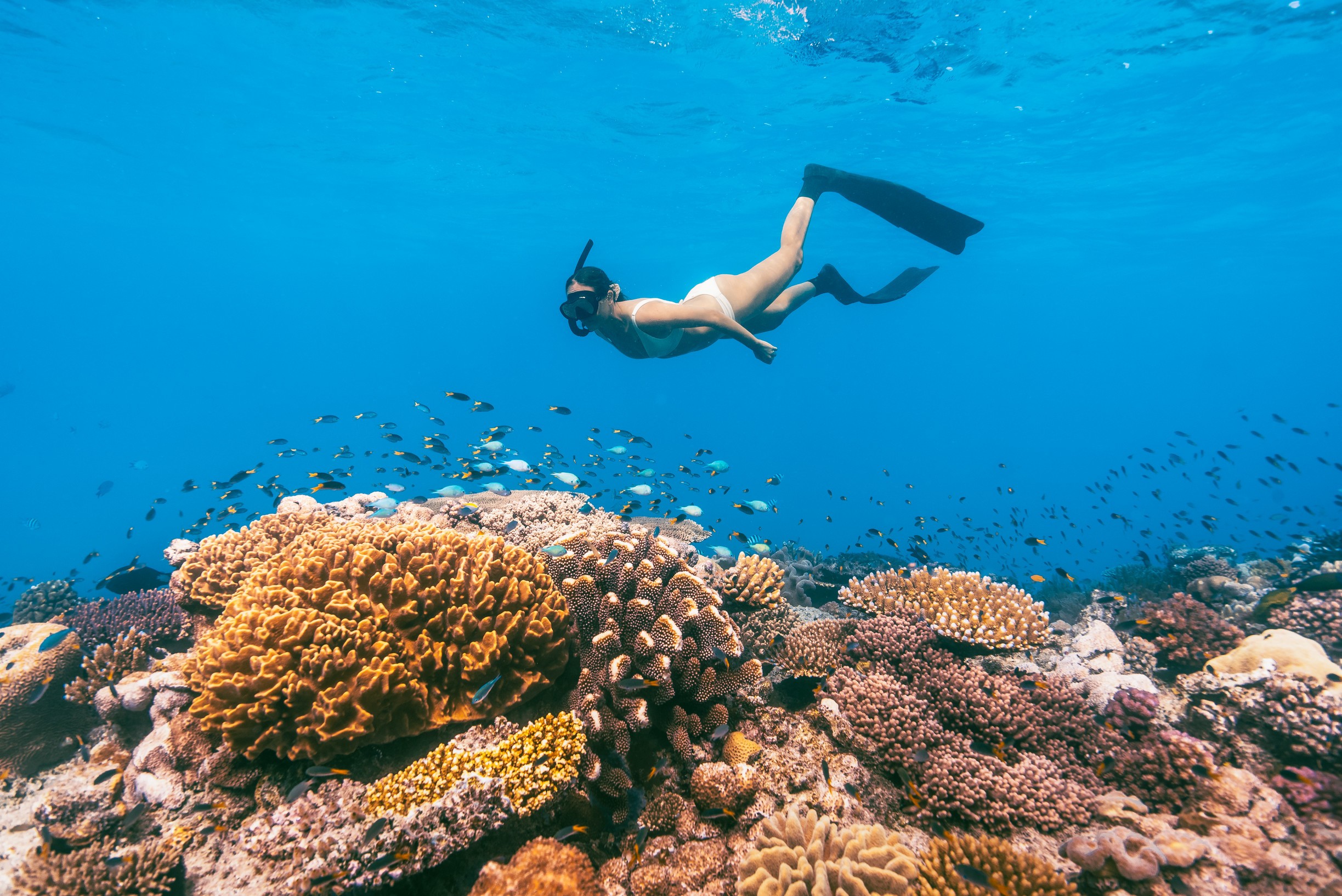 Queensland great barrier reef Tourism and Events Queensland 141559 23