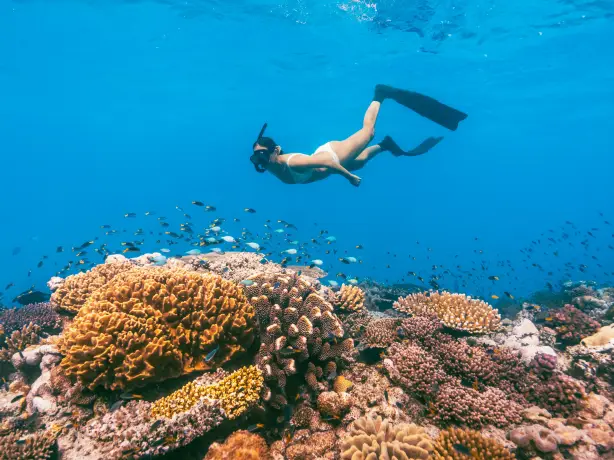 Queensland great barrier reef Tourism and Events Queensland 141559 23