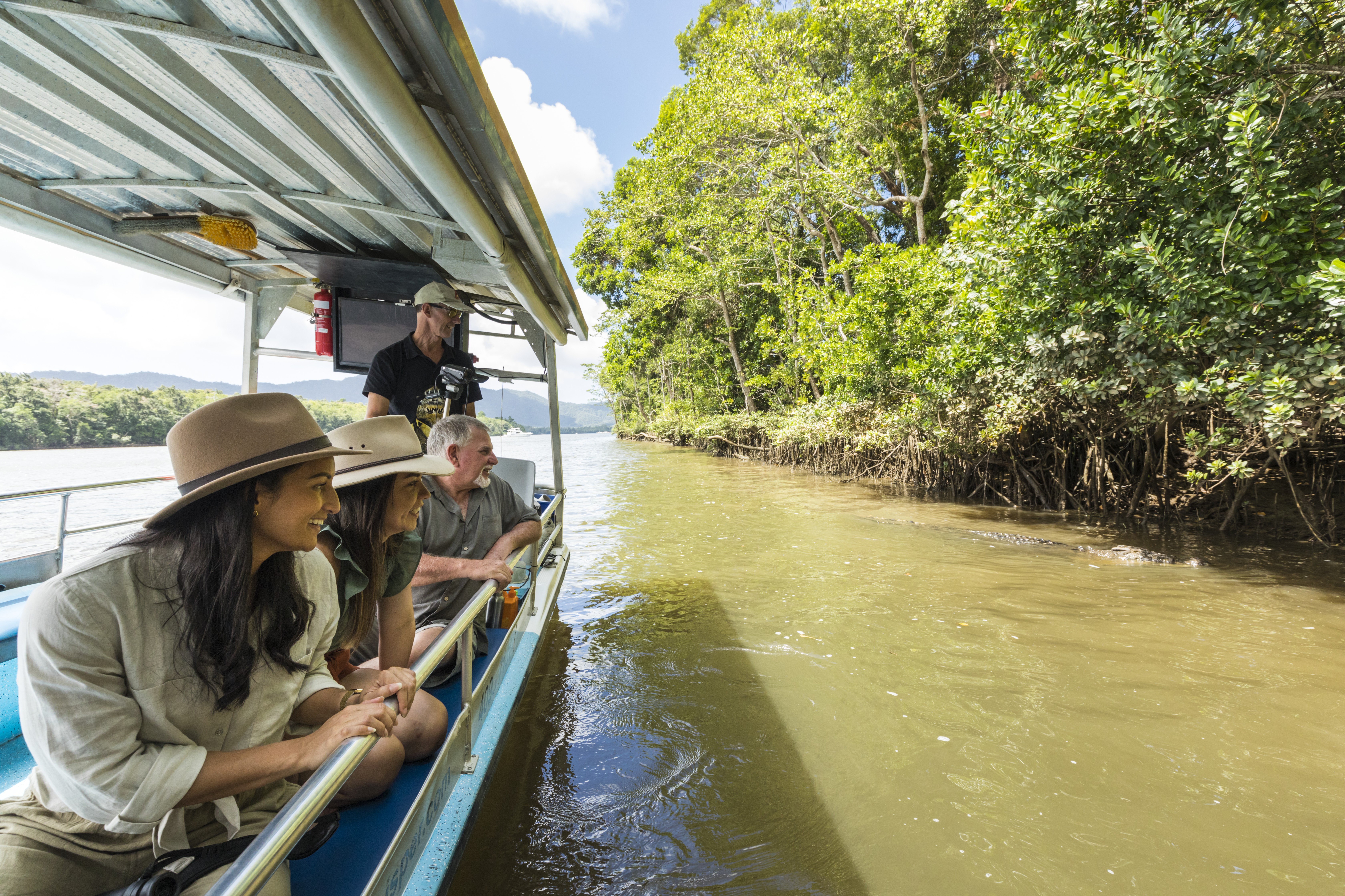 Aus qld daintree crocodile