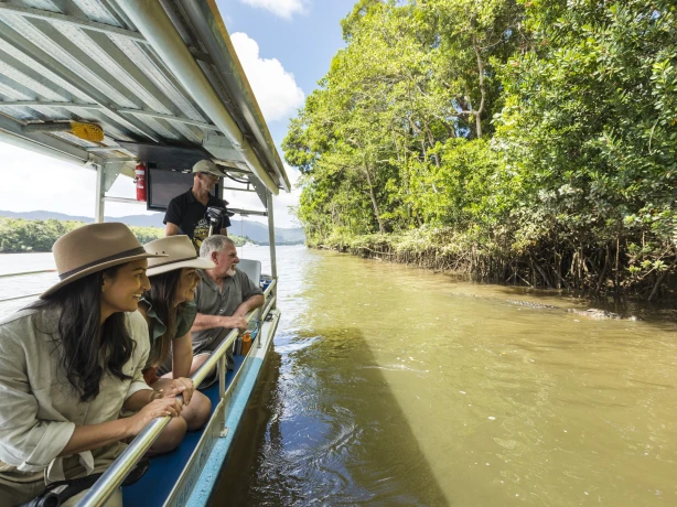 Aus qld daintree crocodile