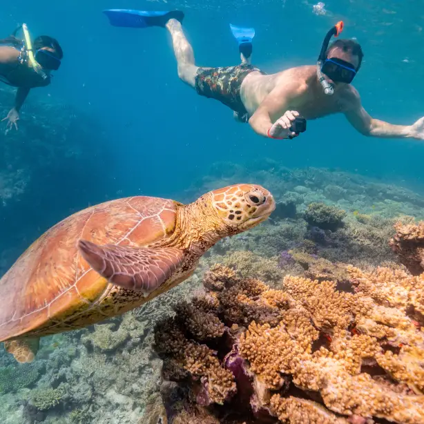 Aus qld great barrier reef Lady Musgrave Experience credit Tourism and Events Queensland