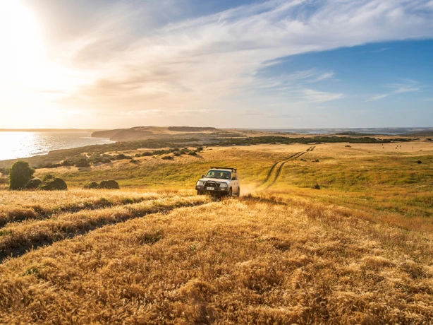 AUS SA Kangaroo Island | The Cliffs