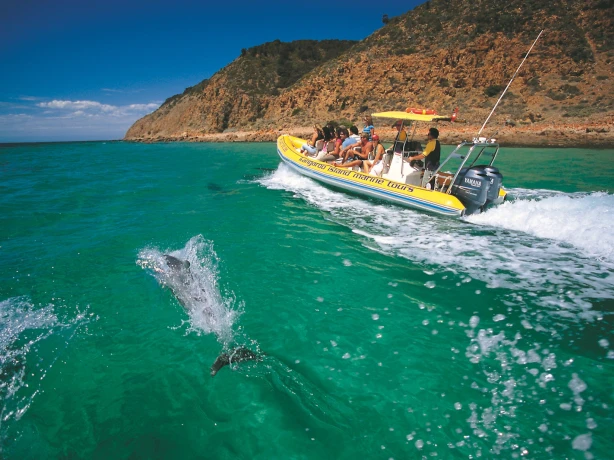 AUS SA Kangaroo Island | Kangaroo Island Marine Adventures