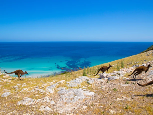 AUS SA Kangaroo Island | Waves & Wildlife Cottages