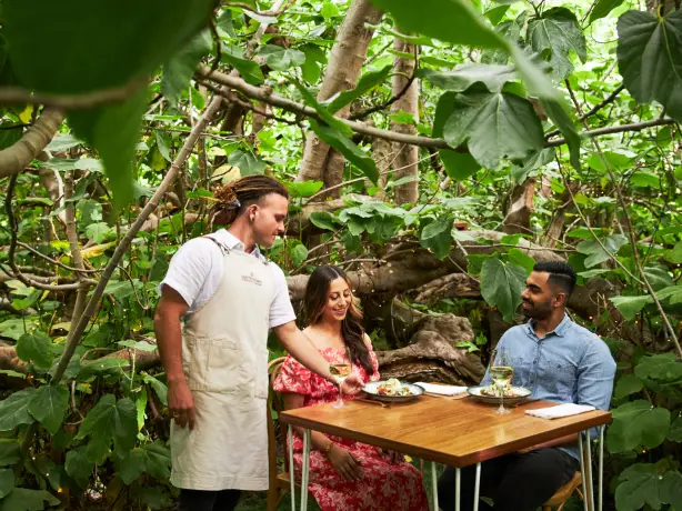 AUS SA Kangaroo Island | The Enchanted Fig Tree