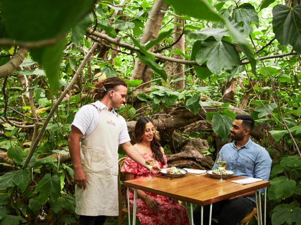 AUS SA Kangaroo Island | The Enchanted Fig Tree
