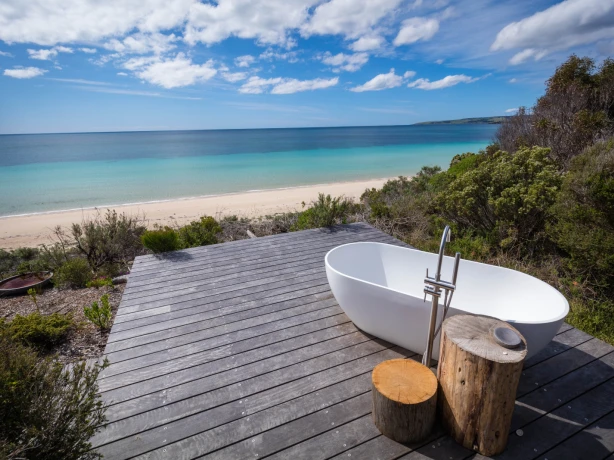 AUS SA Kangaroo Island | One Kangaroo