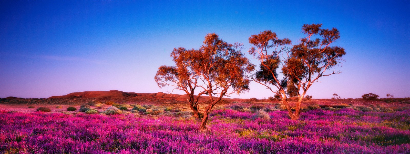 Aus sa coober pedy Oodnadatta Track