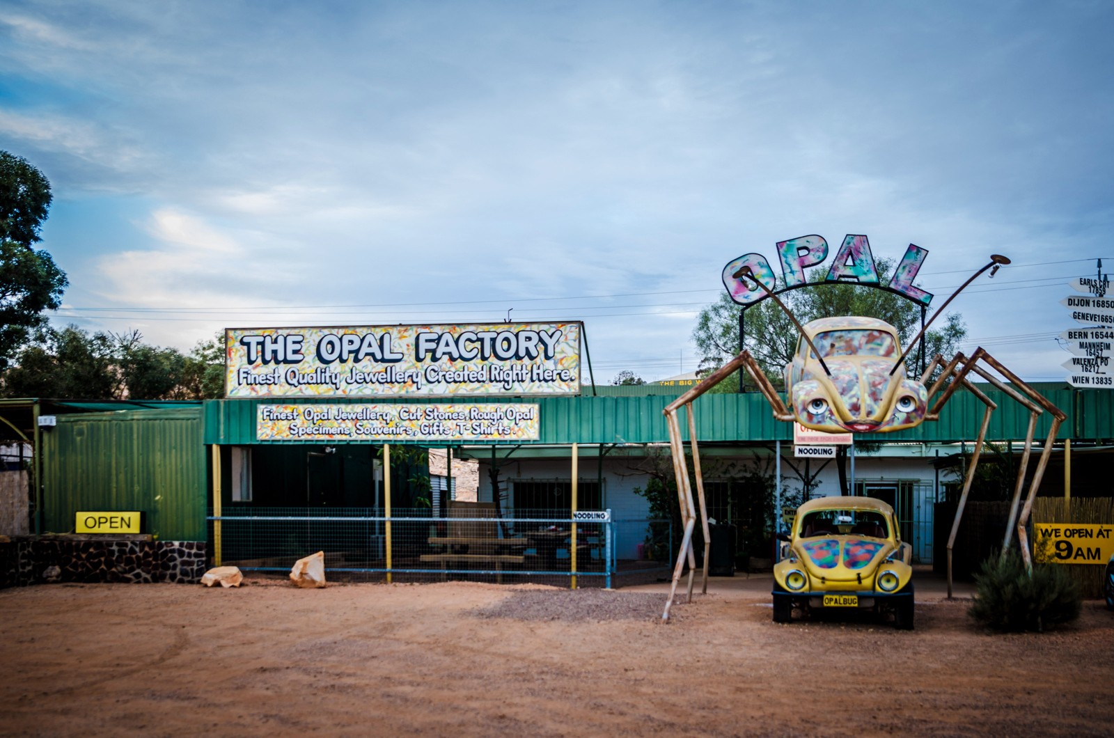 Aus sa coober pedy opal beetle