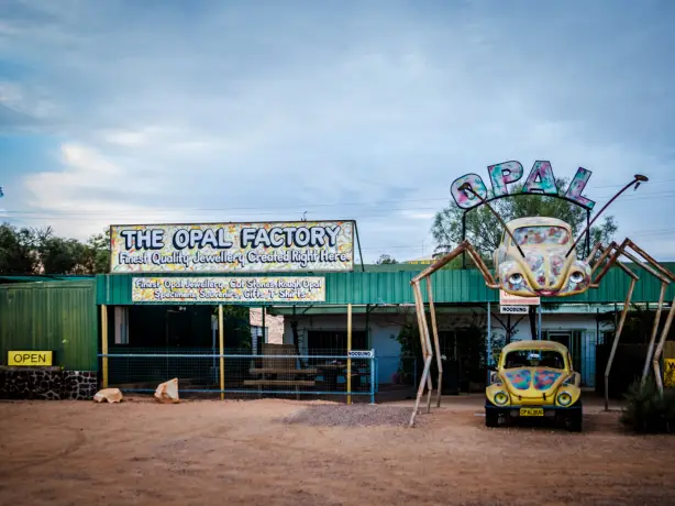 Aus sa coober pedy opal beetle