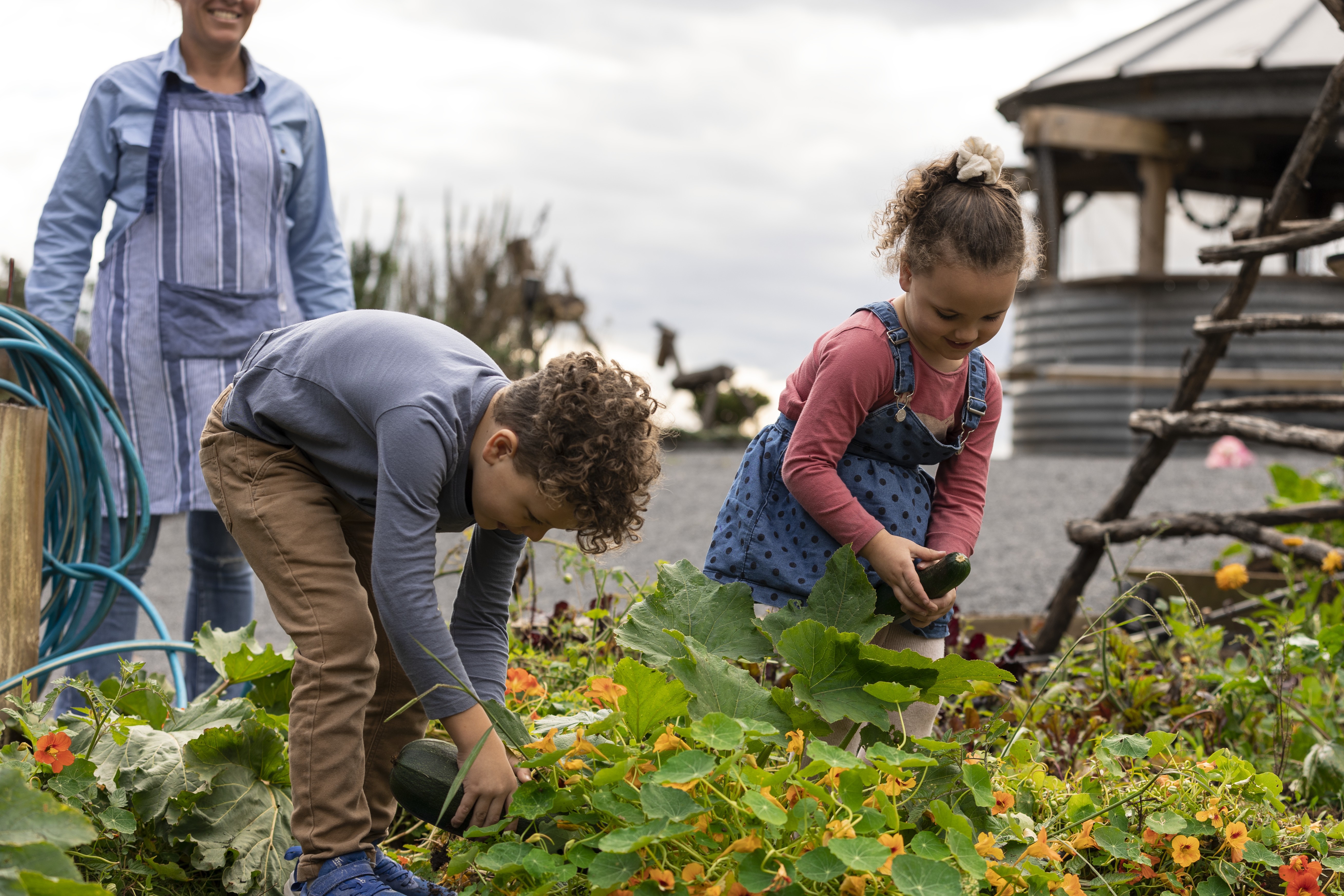 Aus tas launceston farm family friendly