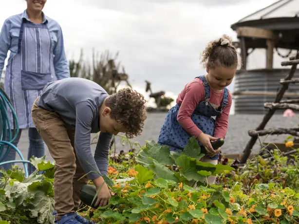 Aus tas launceston farm family friendly